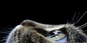 Maariaa_'s profile banner image
