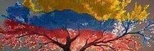 cleotibi's profile banner image