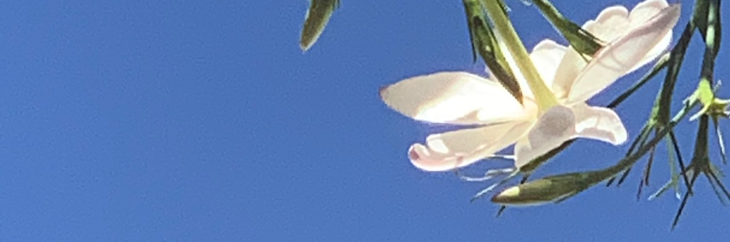 mariagj2's profile banner image