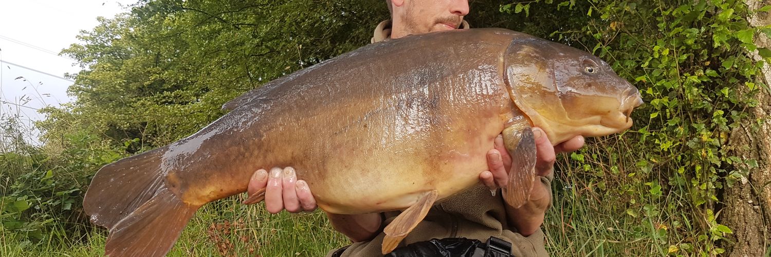 Danny.  Swampy banner