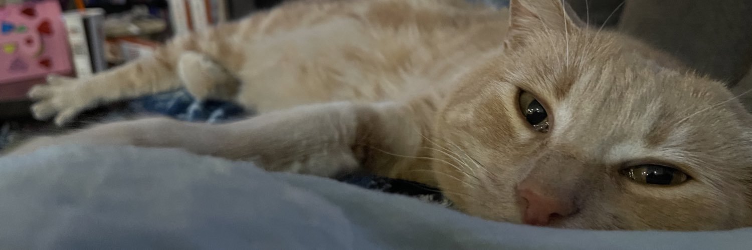 MyStinapie's profile banner image