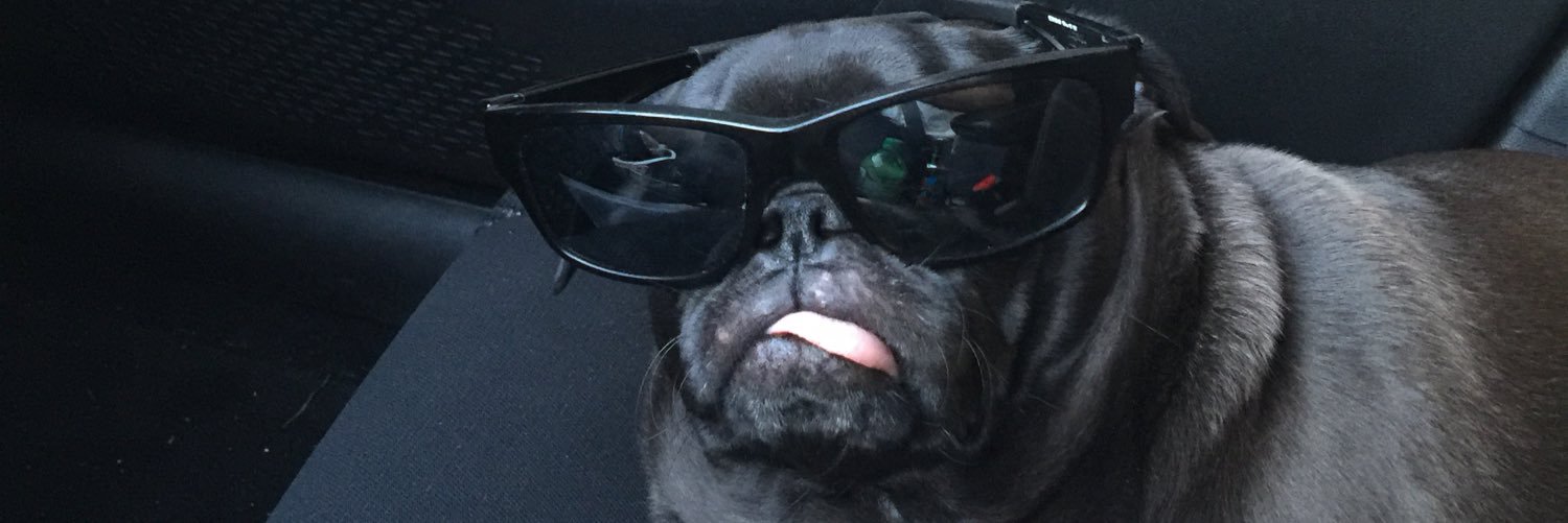 choopsndoop24's profile banner image