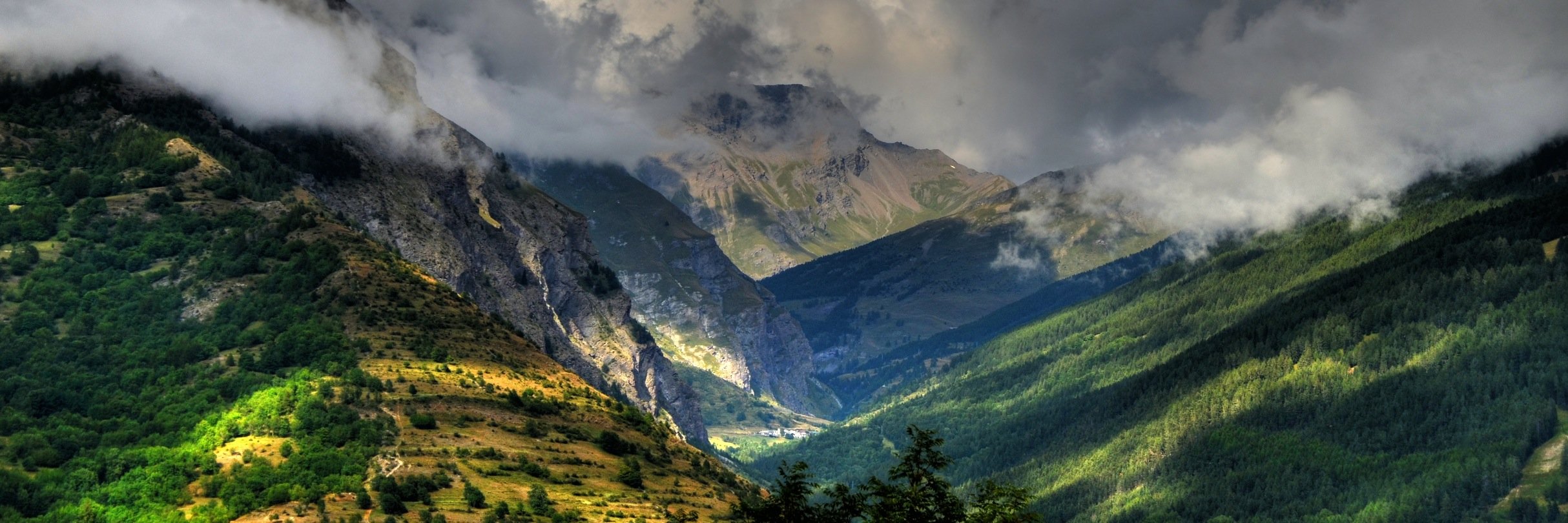 Stefano banner