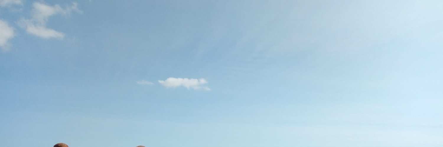 Helena Borrell banner