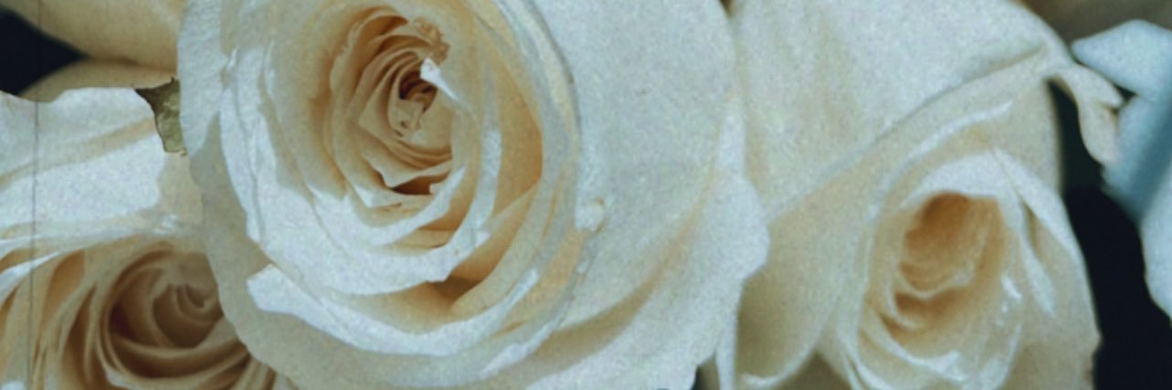 BreWithAhE's profile banner image
