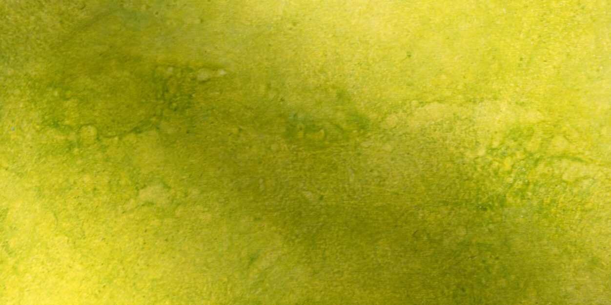 BaconCasey1's profile banner image