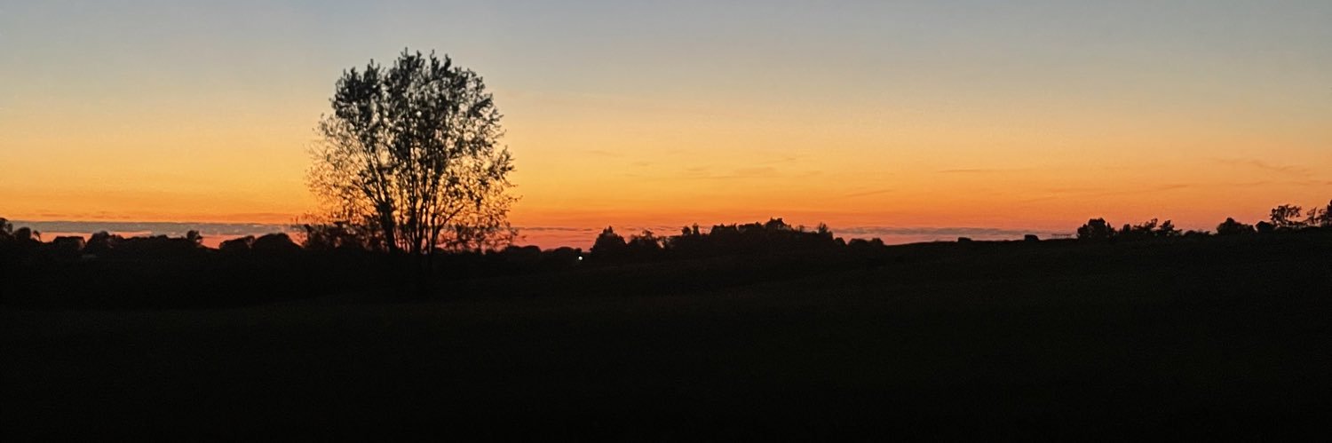 elladarst's profile banner image