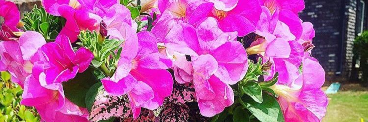 jenyb4's profile banner image