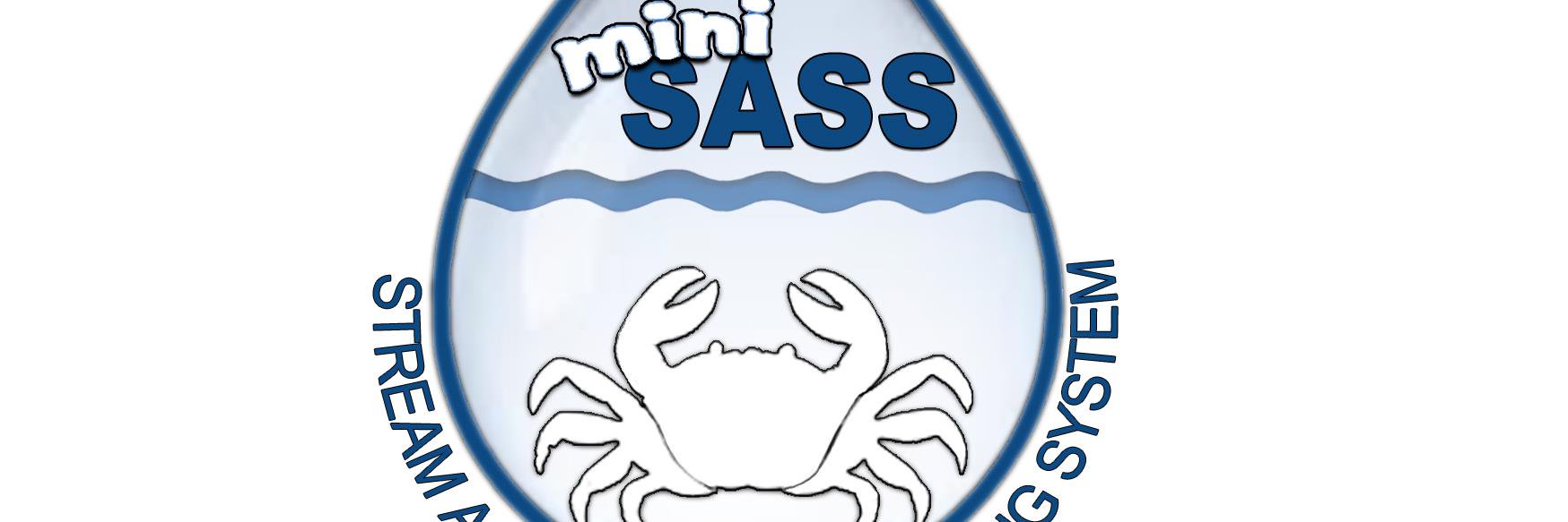 mini_SASS's profile banner image