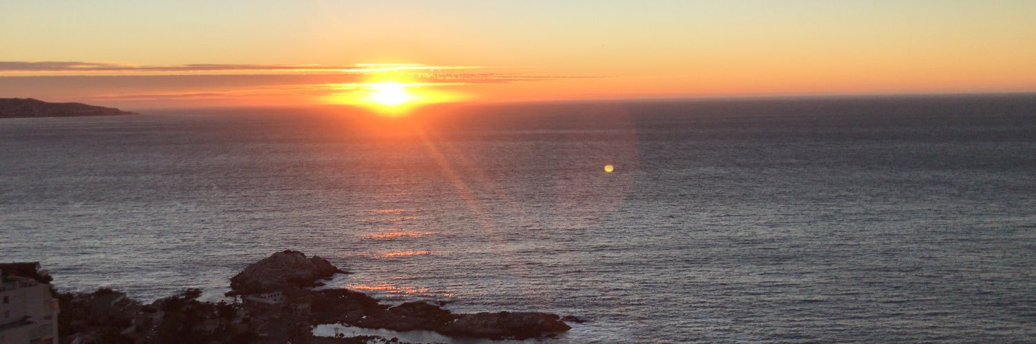 Soledad Martinez banner