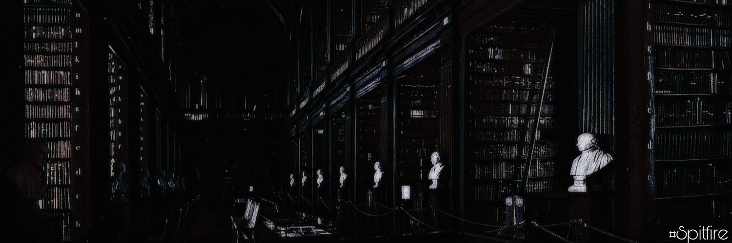 libraryshellion's profile banner image
