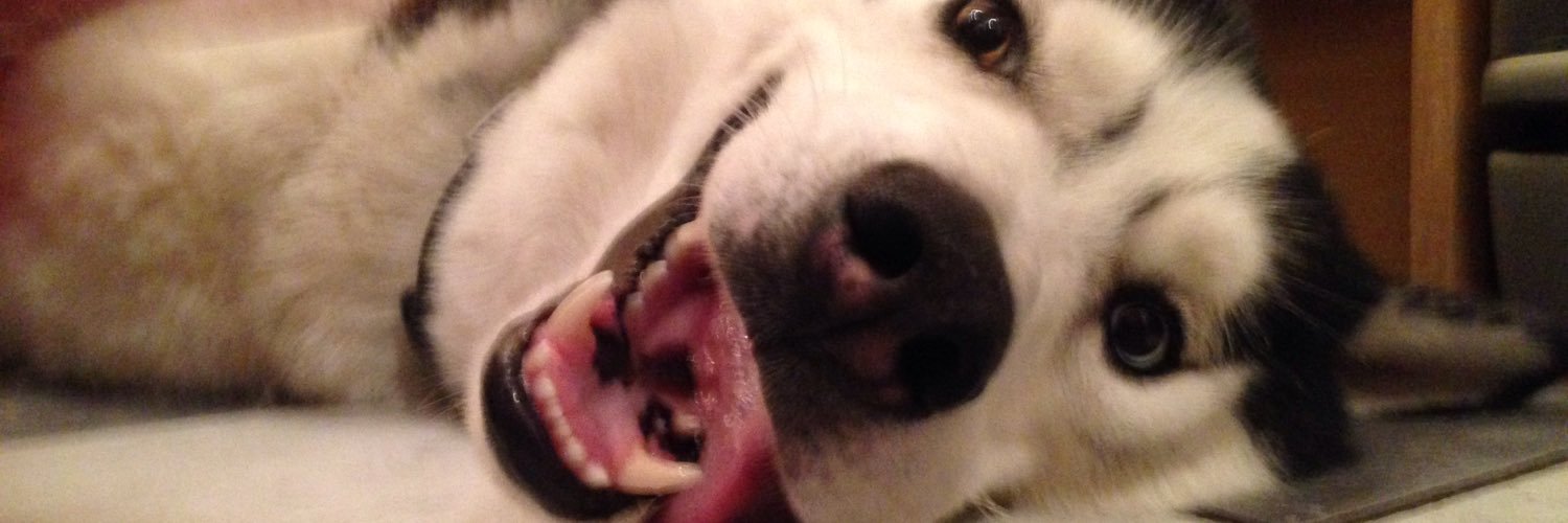 Ashley Bilverstone banner