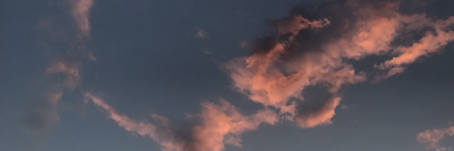 Paaoreys's profile banner image