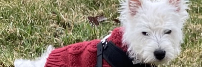 Nancy Leahy banner