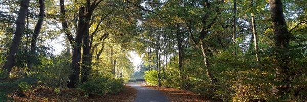 ChristinaDahm Profile Banner