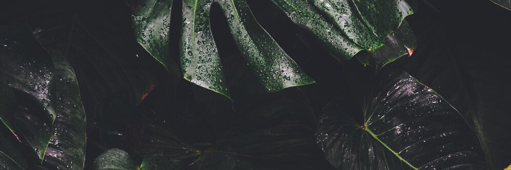 VselesZ's profile banner image