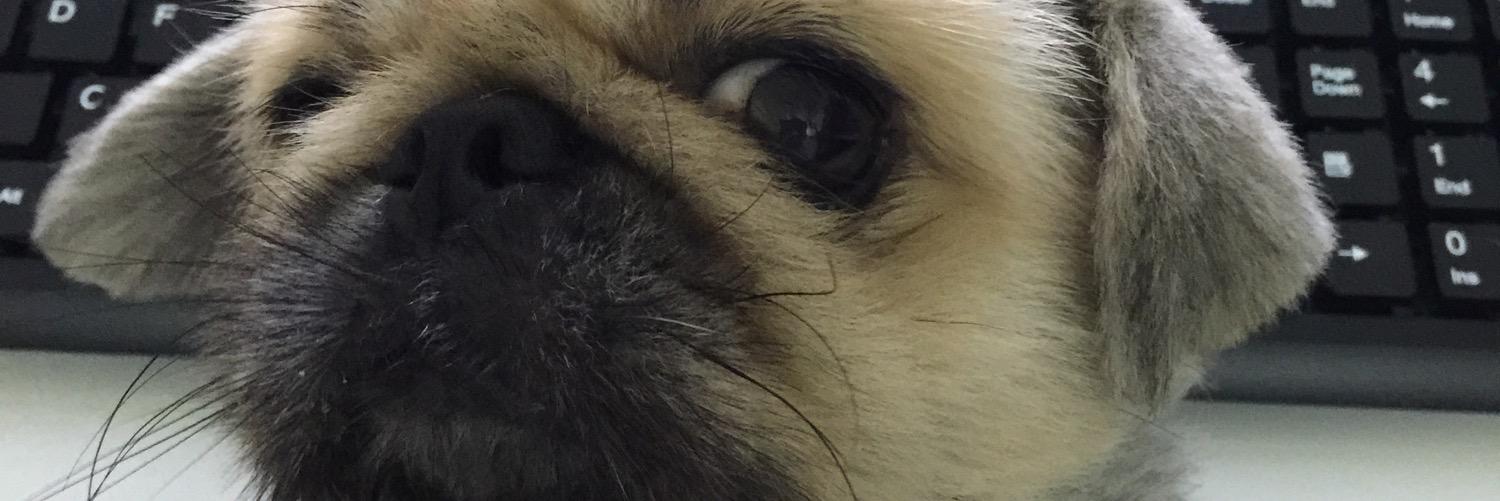 jackywdf's profile banner image