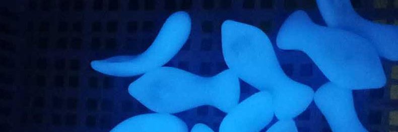 6sdildo's profile banner image