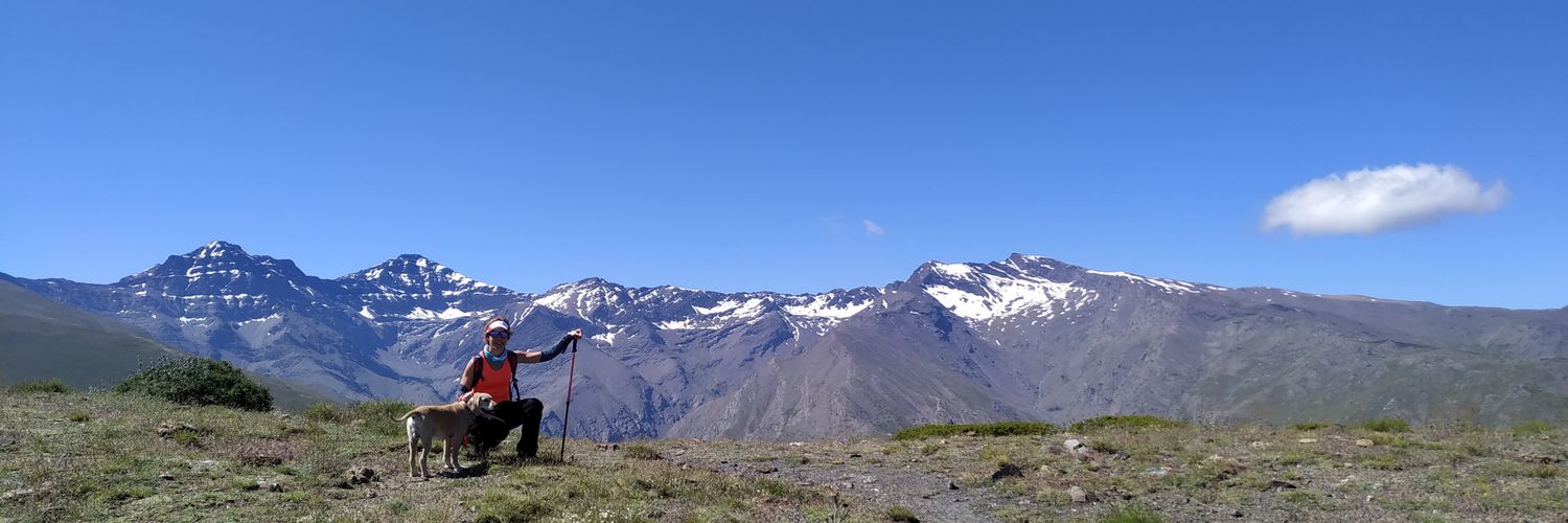 frognessy's profile banner image