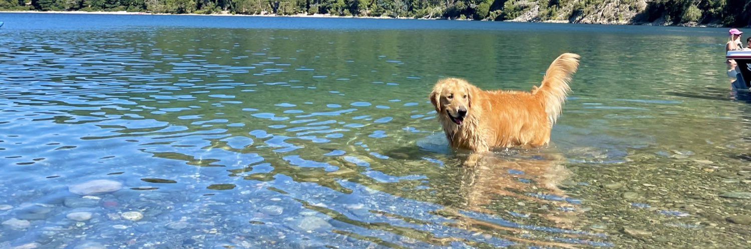 GiuDellaPuppa's profile banner image
