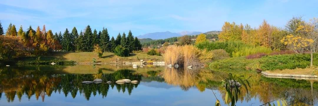 Marcus Terribilis banner