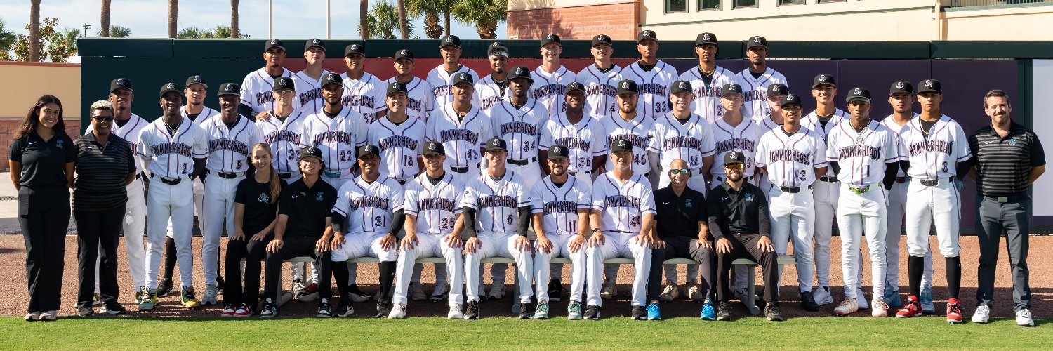 Jupiter Hammerheads's banner