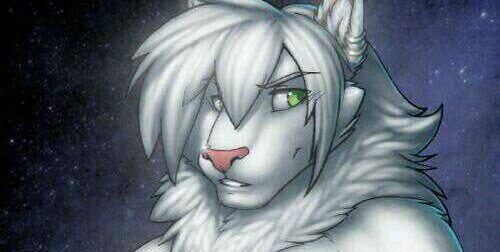 FemboyLion's profile banner image