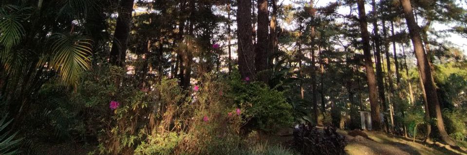 thisislalabella's profile banner image