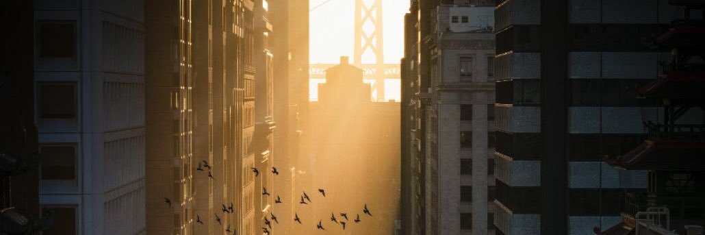pabloporto03's profile banner image