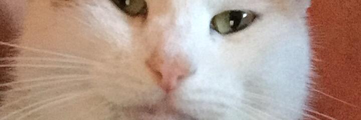 Maatthew__'s profile banner image