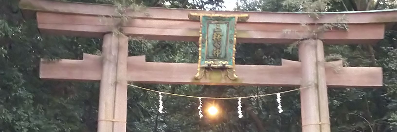 23sada23's profile banner image