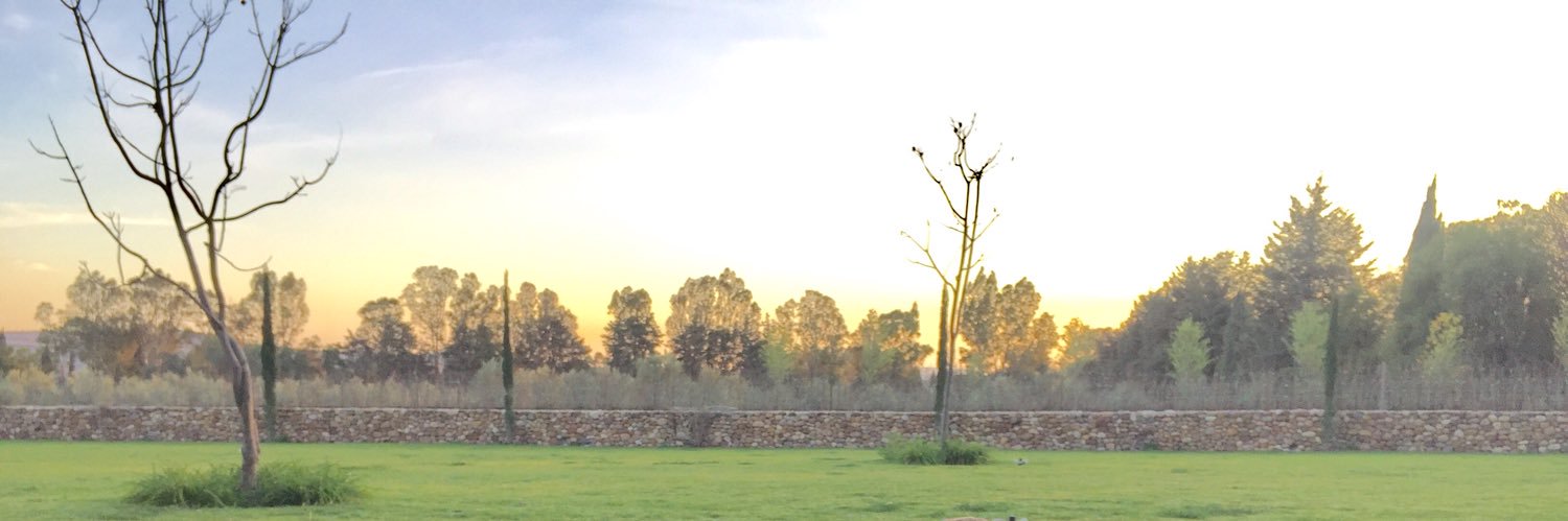 PolyVG's profile banner image