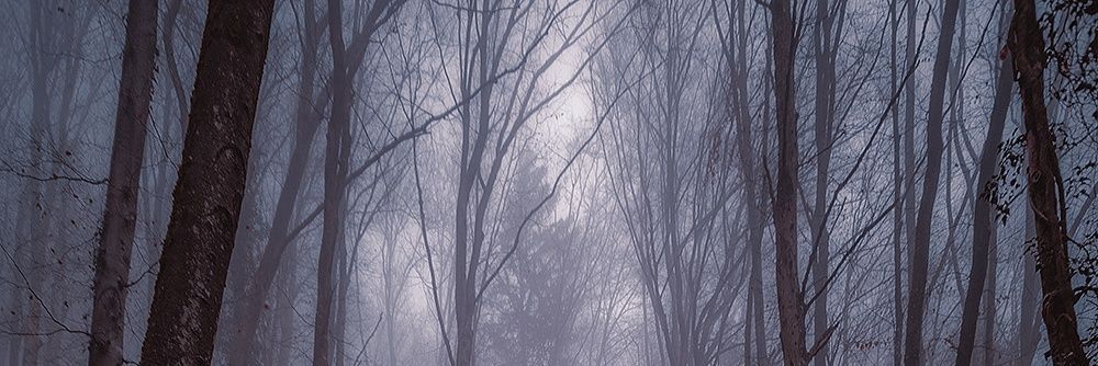 bsvenegas's profile banner image