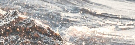 rachbeee_'s profile banner image