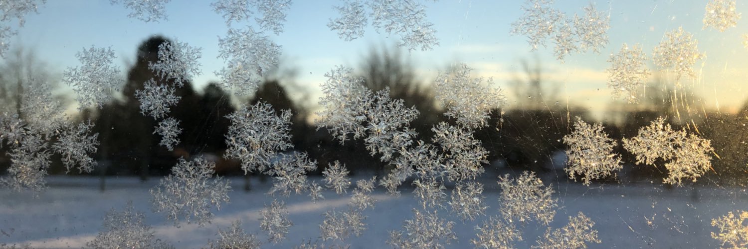 pedagogsajten's profile banner image