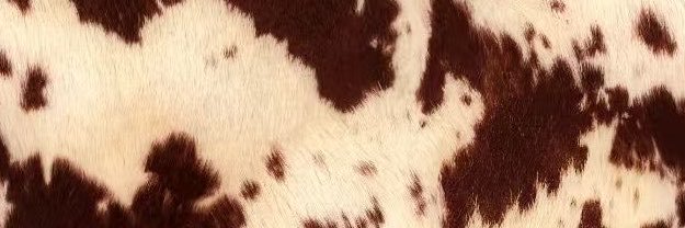 bri_mcdaniel_'s profile banner image
