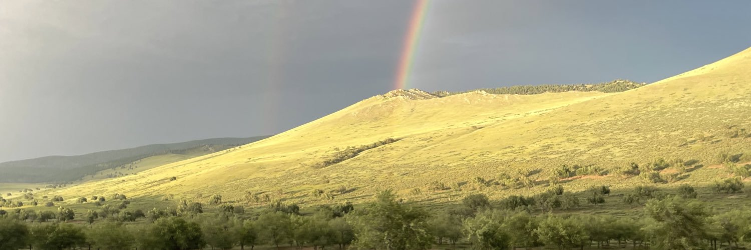 Жонон Ван Энхтүвшин banner
