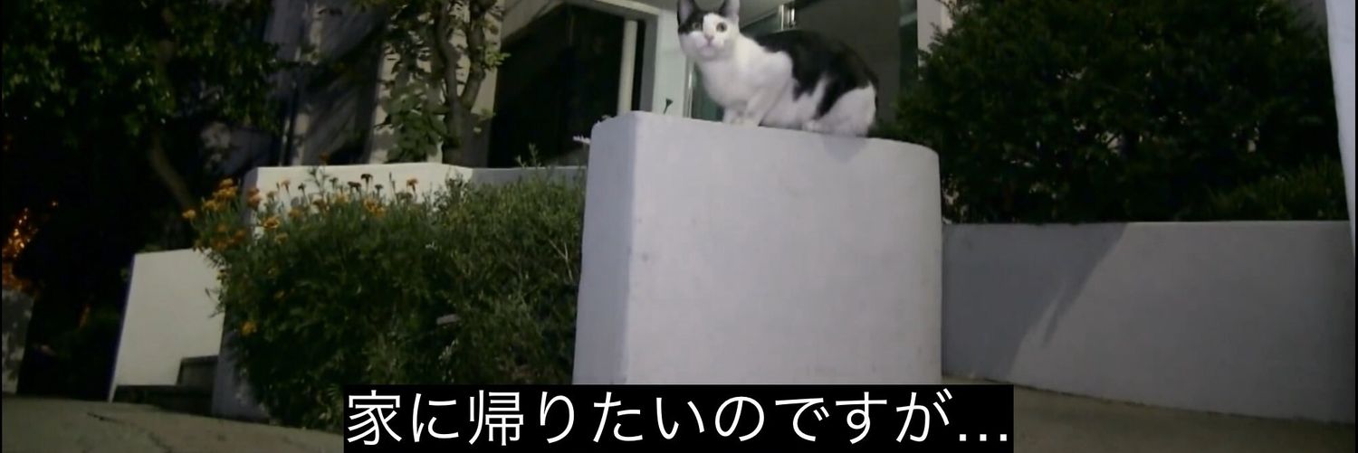 muttyan_outa's profile banner image