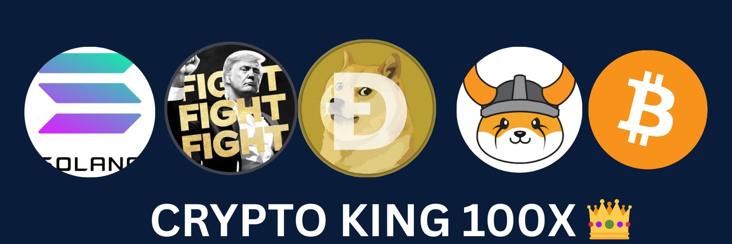 Crypto_King100X's profile banner image