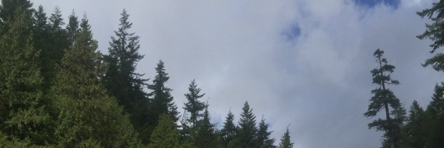 Rease banner