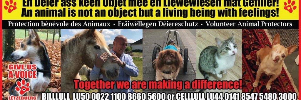 Daniel Freres banner