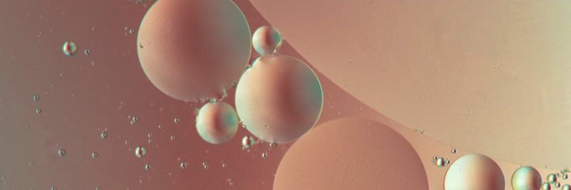 Katari Bender banner