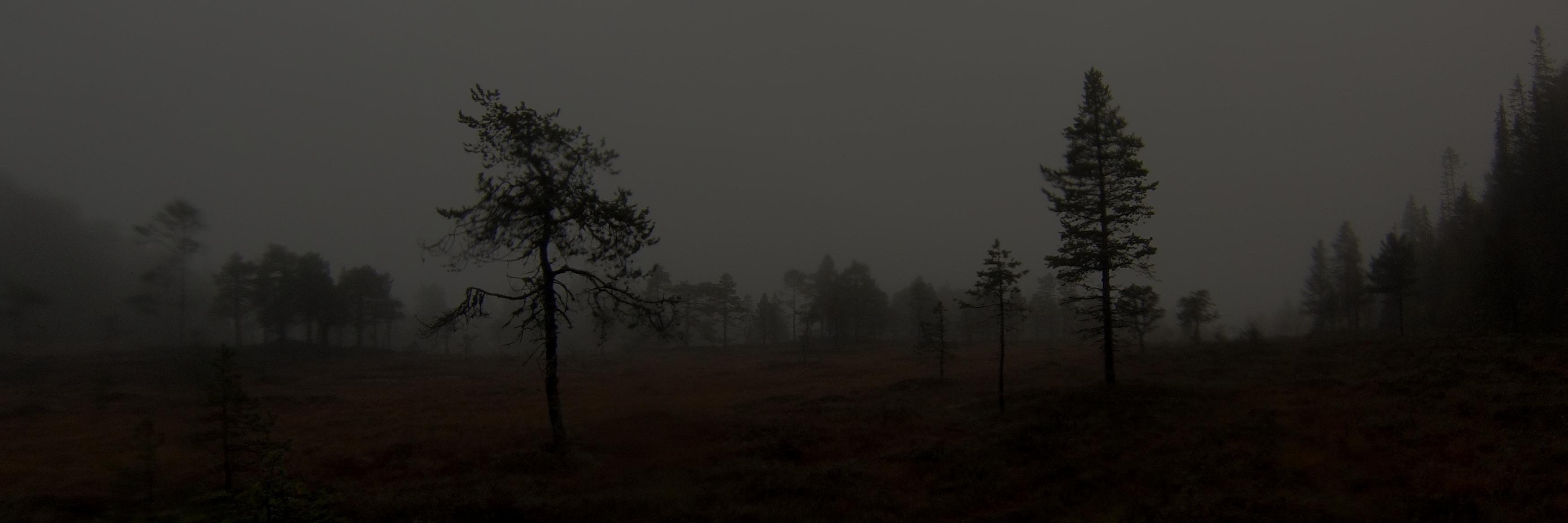 kaffecup's profile banner image