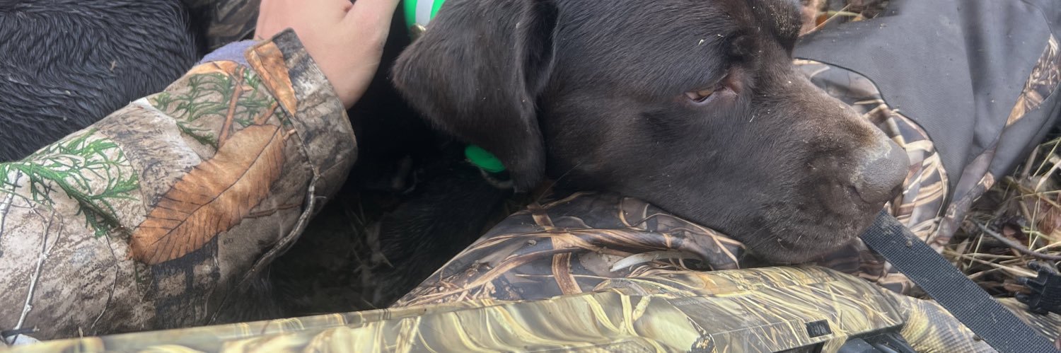 Masonkroll's profile banner image