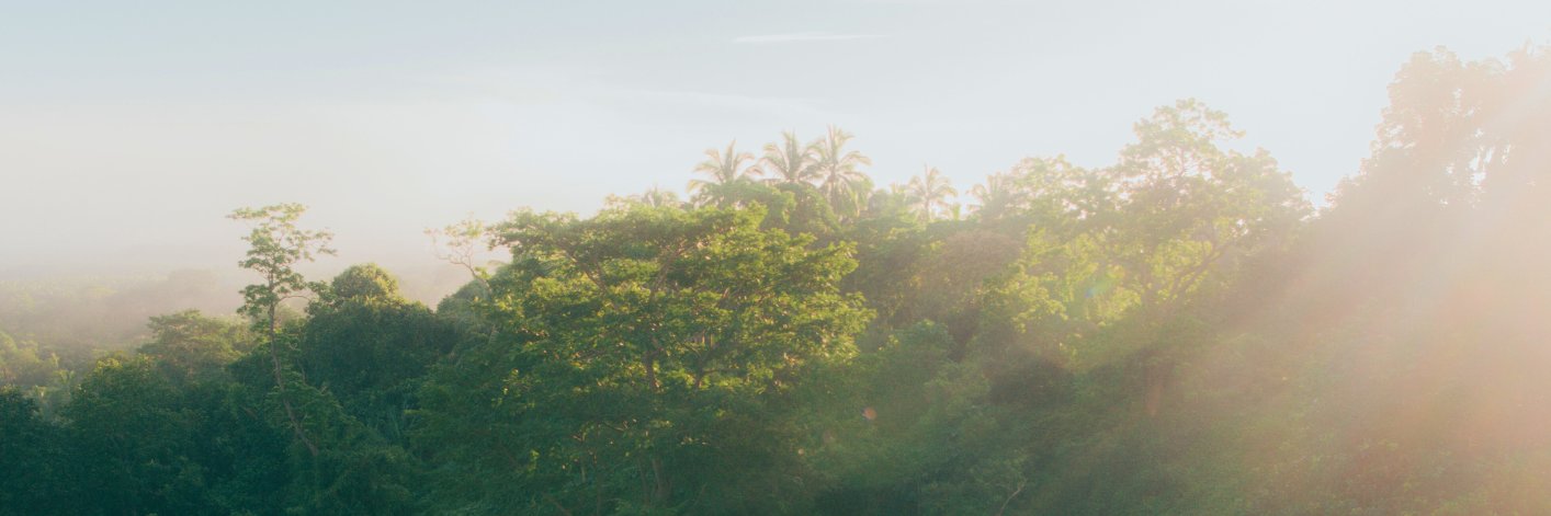 UN Partnership for Action on Green Economy banner