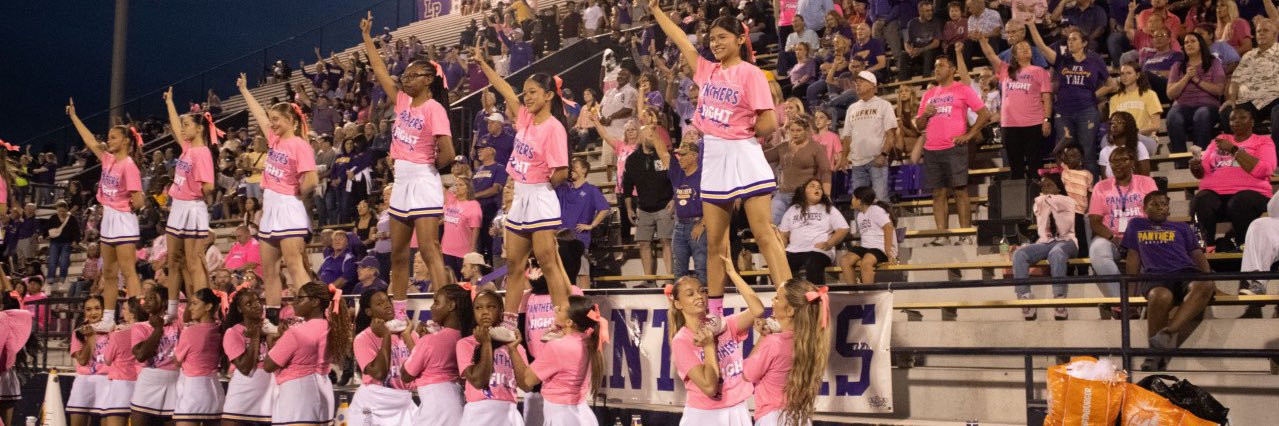 Danielle Caples banner