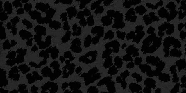_msl's profile banner image