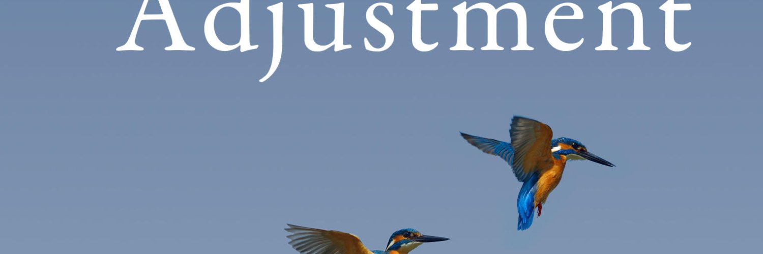 Linda Collins banner