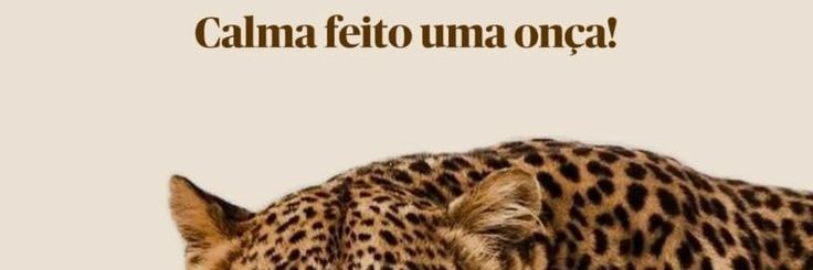 dropardocinho's profile banner image