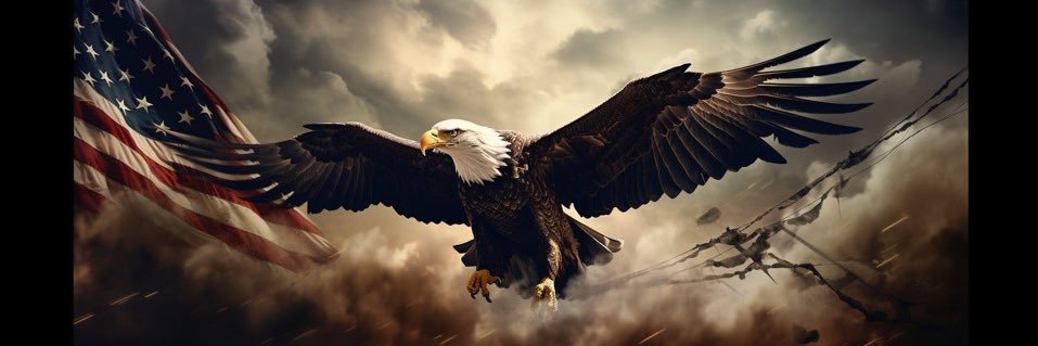 Sniffles711's profile banner image